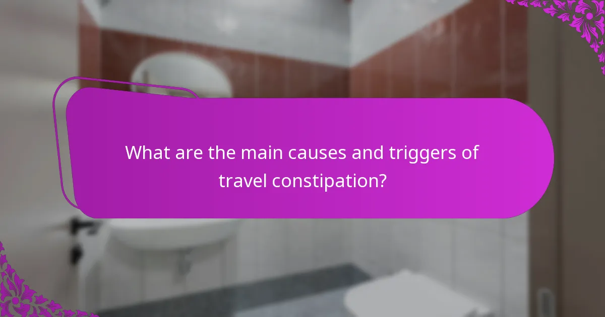 What are the main causes and triggers of travel constipation?